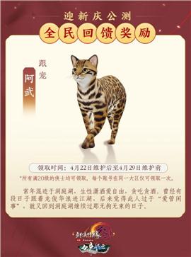 天龙八部召唤私服